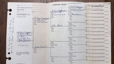 R. W. Coffman pedigree Chart 3 — the Swiss Kauffman candidates