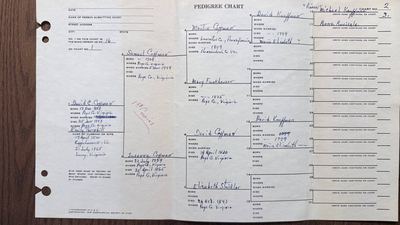 R. W. Coffman pedigree Chart 2 — David Carl Coffman back to the Kauffmans