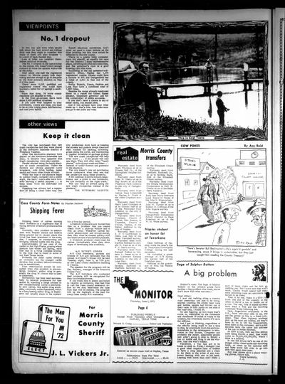 The Naples Monitor (Naples, Tex.) — page 4