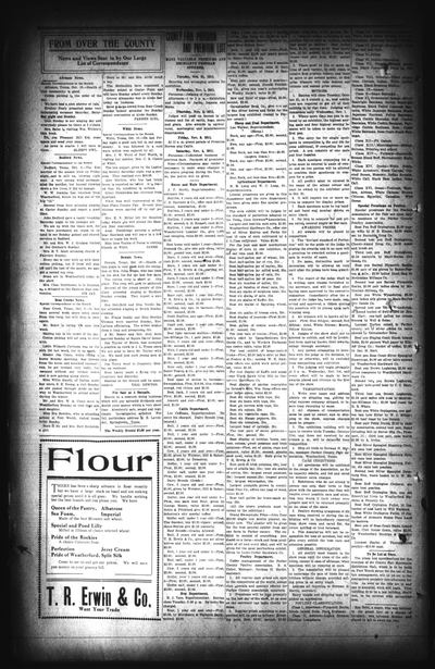 The Weekly Herald. (Weatherford, Tex.) — page 4