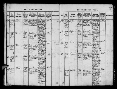 Page p. 7, 1820, no. 29 of Røldal parish register (ministerialbok), Hordaland, Norway, 1820