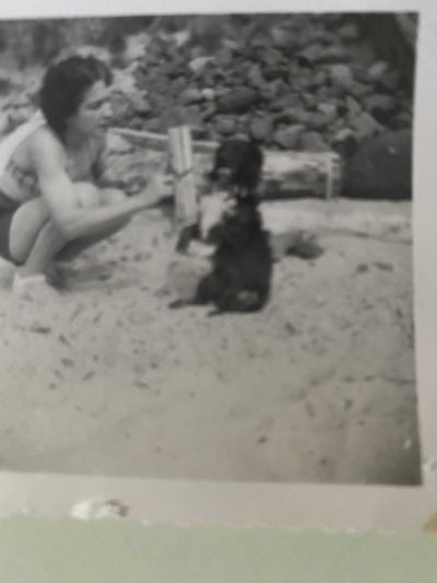 Aileane with the dog Dugan, at a beach