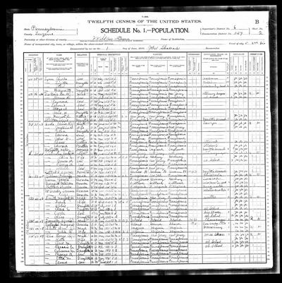 Page sheet 2B, lines 71–75 of 1900 U.S. Federal Census — Wilkes-Barre city, Ward 5, 2nd Division, Luzerne County, Pennsylvania; SD 6, ED 159, sheet 2 B, house 8, dwelling 38, family 44, enumerated 1 June 1900 by John Shadrach (Ancestry coll. 7602, record 47094515; image 4115129_00218) · full resolution 3933 × 3947 px, DeepZoom level 12, 64/64 tiles